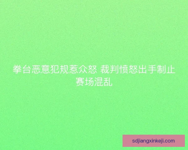 拳台恶意犯规惹众怒 裁判愤怒出手制止赛场混乱